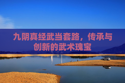 九阴真经武当套路，传承与创新的武术瑰宝