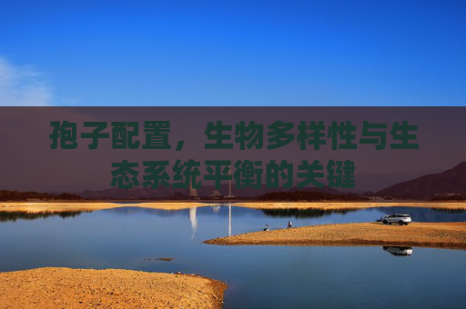 孢子配置,生物多样性与生态系统平衡的关键 孢子配置,生物多样性与生态系统平衡的关键
