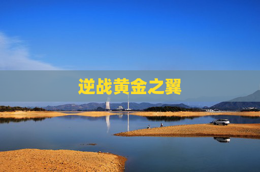逆战黄金之翼 逆战黄金之翼