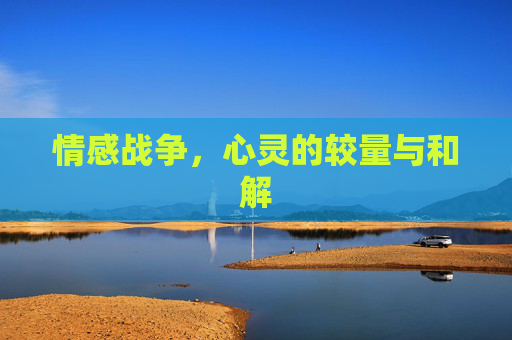 情感战争，心灵的较量与和解