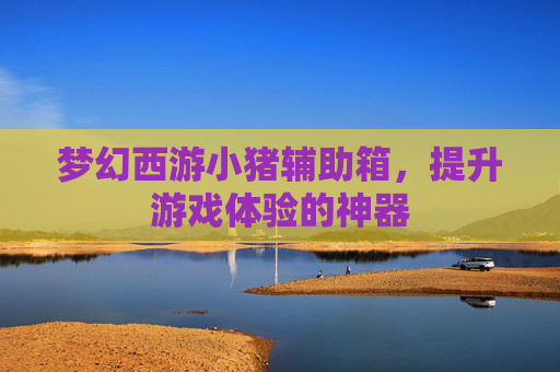 梦幻西游小猪辅助箱,提升游戏体验的神器 梦幻西游小猪辅助箱,提升游戏体验的神器