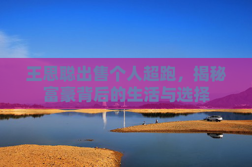 王思聪出售个人超跑,揭秘富豪背后的生活与选择 王思聪出售个人超跑,揭秘富豪背后的生活与选择
