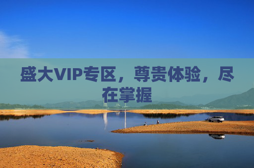 盛大VIP专区，尊贵体验，尽在掌握