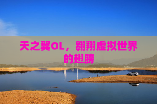 天之翼OL，翱翔虚拟世界的翅膀