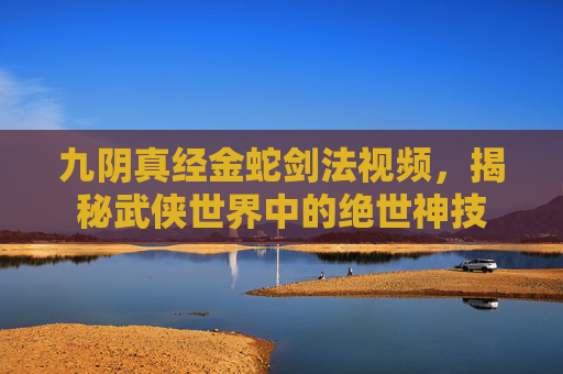 九阴真经金蛇剑法视频，揭秘武侠世界中的绝世神技