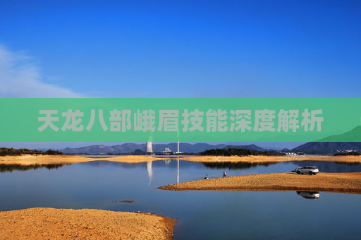 天龙八部峨眉技能深度解析 天龙八部峨眉技能深度解析