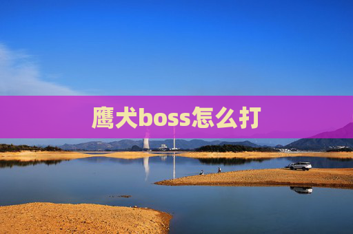 鹰犬boss怎么打