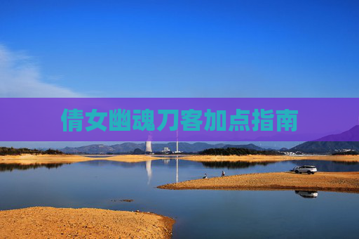 倩女幽魂刀客加点指南