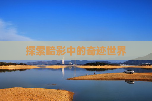 探索暗影中的奇迹世界