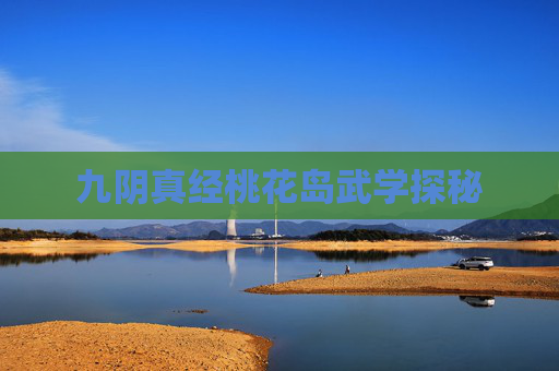 九阴真经桃花岛武学探秘