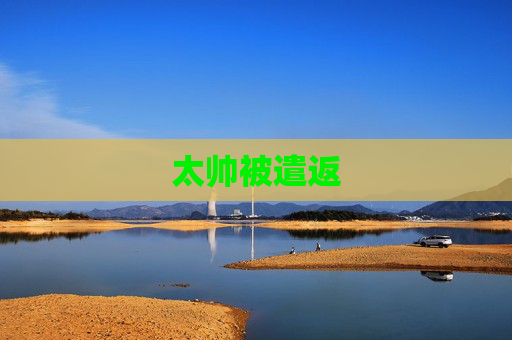 太帅被遣返