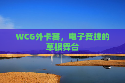 WCG外卡赛，电子竞技的草根舞台