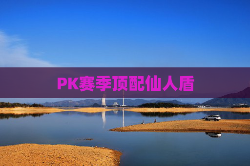 PK赛季顶配仙人盾
