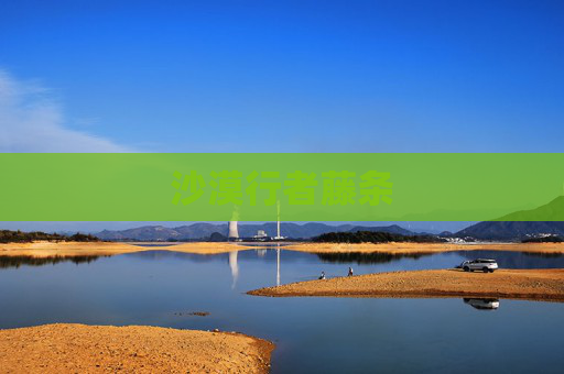 沙漠行者藤条