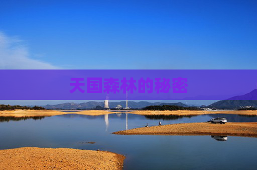 天国森林的秘密