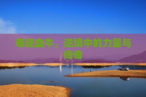 奇迹血牛,逆境中的力量与传奇 奇迹血牛,逆境中的力量与传奇