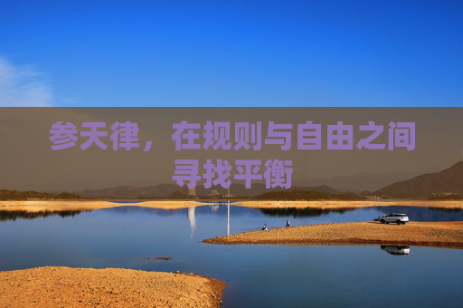 参天律,在规则与自由之间寻找平衡 参天律,在规则与自由之间寻找平衡