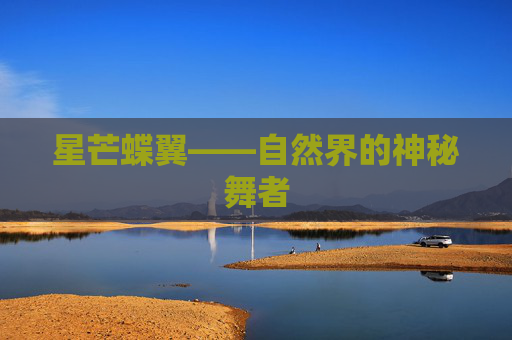 星芒蝶翼——自然界的神秘舞者 星芒蝶翼——自然界的神秘舞者