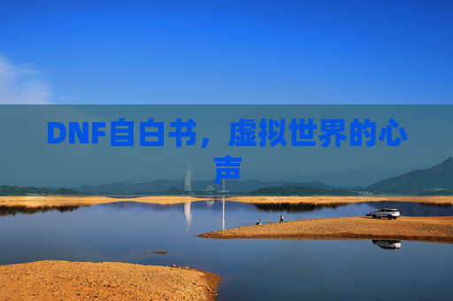 DNF自白书,虚拟世界的心声 DNF自白书,虚拟世界的心声