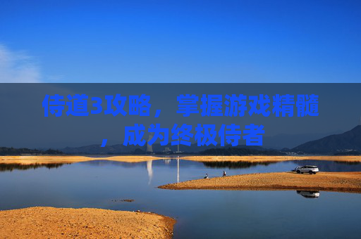 侍道3攻略，掌握游戏精髓，成为终极侍者