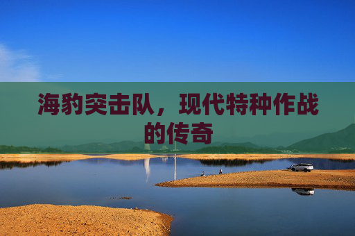 海豹突击队，现代特种作战的传奇