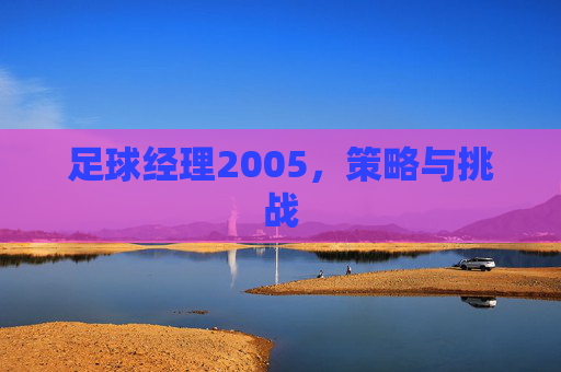 足球经理2005,策略与挑战 足球经理2005,策略与挑战