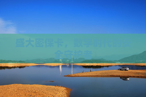 盛大密保卡,数字时代的安全守护者 盛大密保卡,数字时代的安全守护者