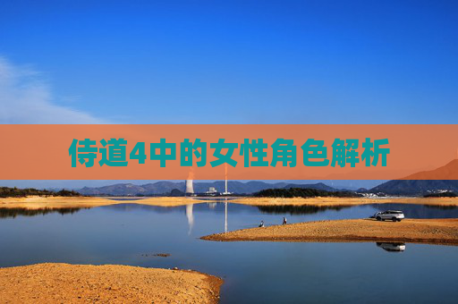 侍道4中的女性角色解析
