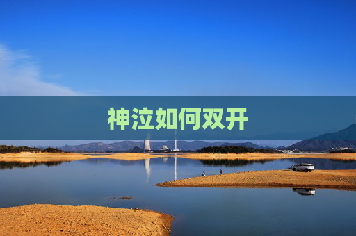 神泣如何双开