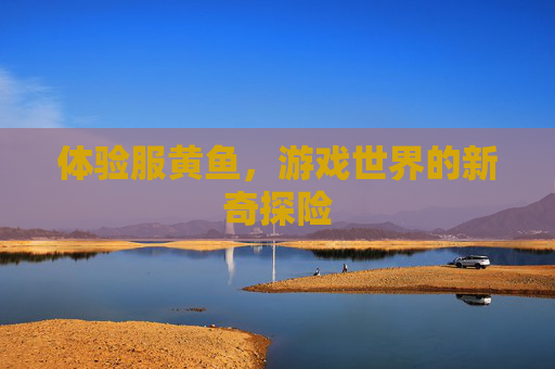 体验服黄鱼,游戏世界的新奇探险 体验服黄鱼,游戏世界的新奇探险