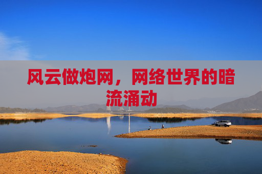 风云做炮网,网络世界的暗流涌动 风云做炮网,网络世界的暗流涌动