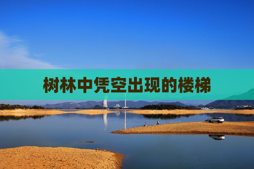 树林中凭空出现的楼梯