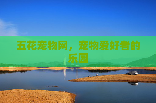 五花宠物网,宠物爱好者的乐园 五花宠物网,宠物爱好者的乐园