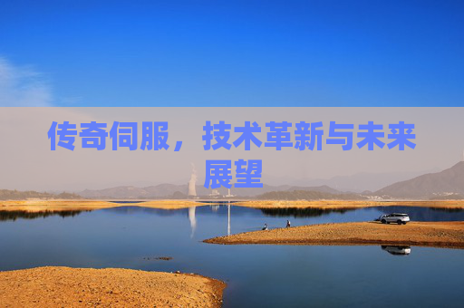 传奇伺服，技术革新与未来展望