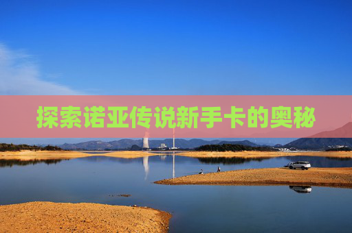 探索诺亚传说新手卡的奥秘