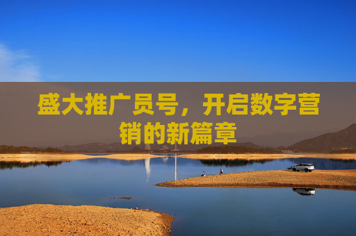盛大推广员号，开启数字营销的新篇章