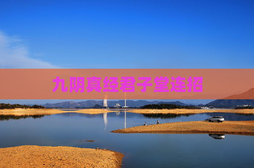 九阴真经君子堂连招 九阴真经君子堂连招