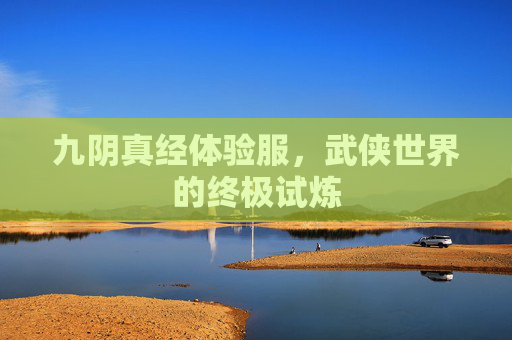 九阴真经体验服,武侠世界的终极试炼 九阴真经体验服,武侠世界的终极试炼