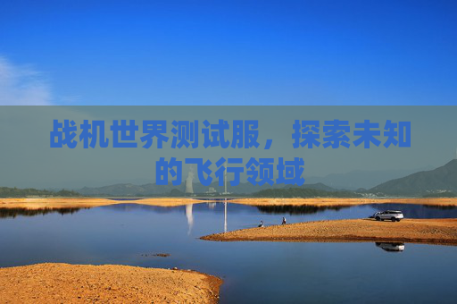 战机世界测试服,探索未知的飞行领域 战机世界测试服,探索未知的飞行领域