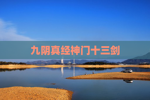 九阴真经神门十三剑