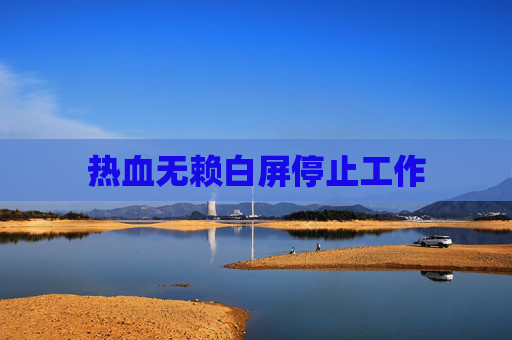 热血无赖白屏停止工作