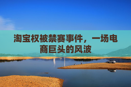 淘宝权被禁赛事件，一场电商巨头的风波