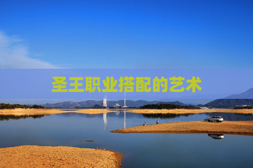 圣王职业搭配的艺术