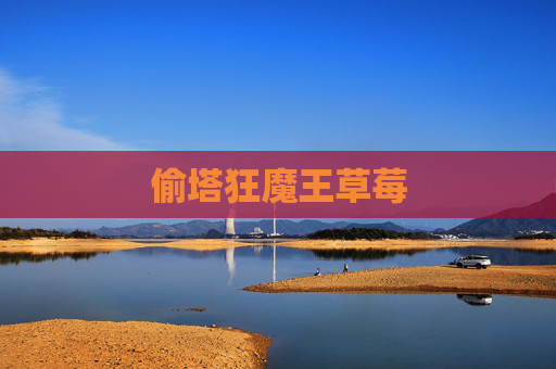 偷塔狂魔王草莓 偷塔狂魔王草莓