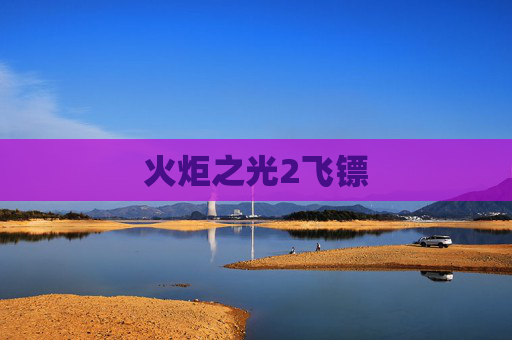 火炬之光2飞镖 火炬之光2飞镖
