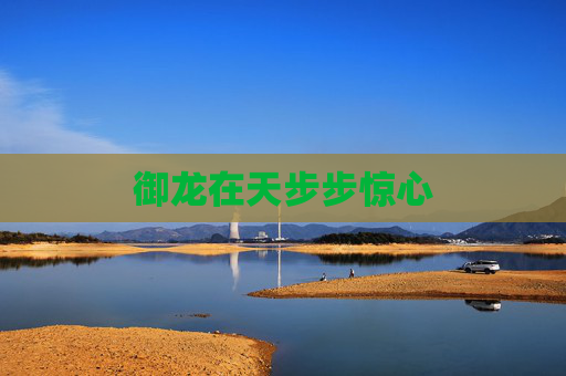 御龙在天步步惊心