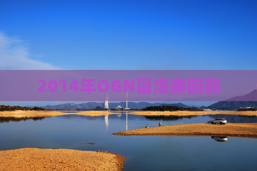 2014年OGN冒泡赛回顾