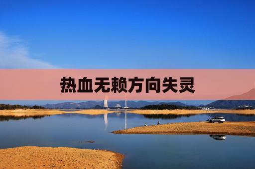 热血无赖方向失灵