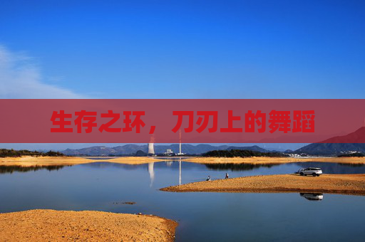 生存之环,刀刃上的舞蹈 生存之环,刀刃上的舞蹈