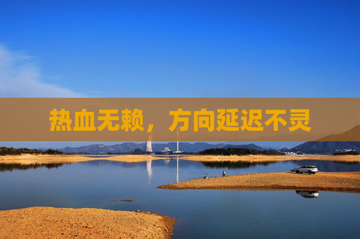 热血无赖，方向延迟不灵